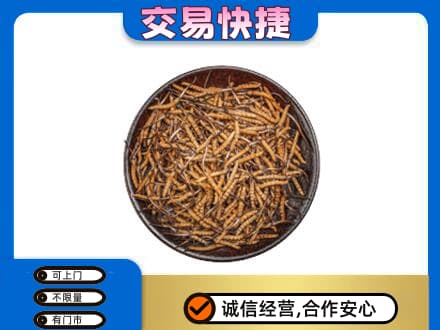 凉山喜德县礼品回收虫草.jpg
